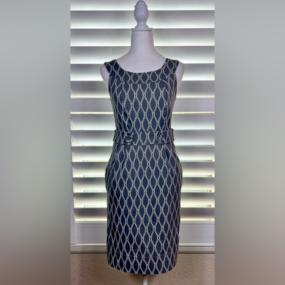 Robbie Bee Gorgeous Shift Dress Sz 4